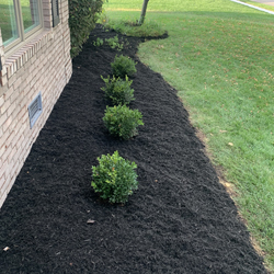 landscape services columbus